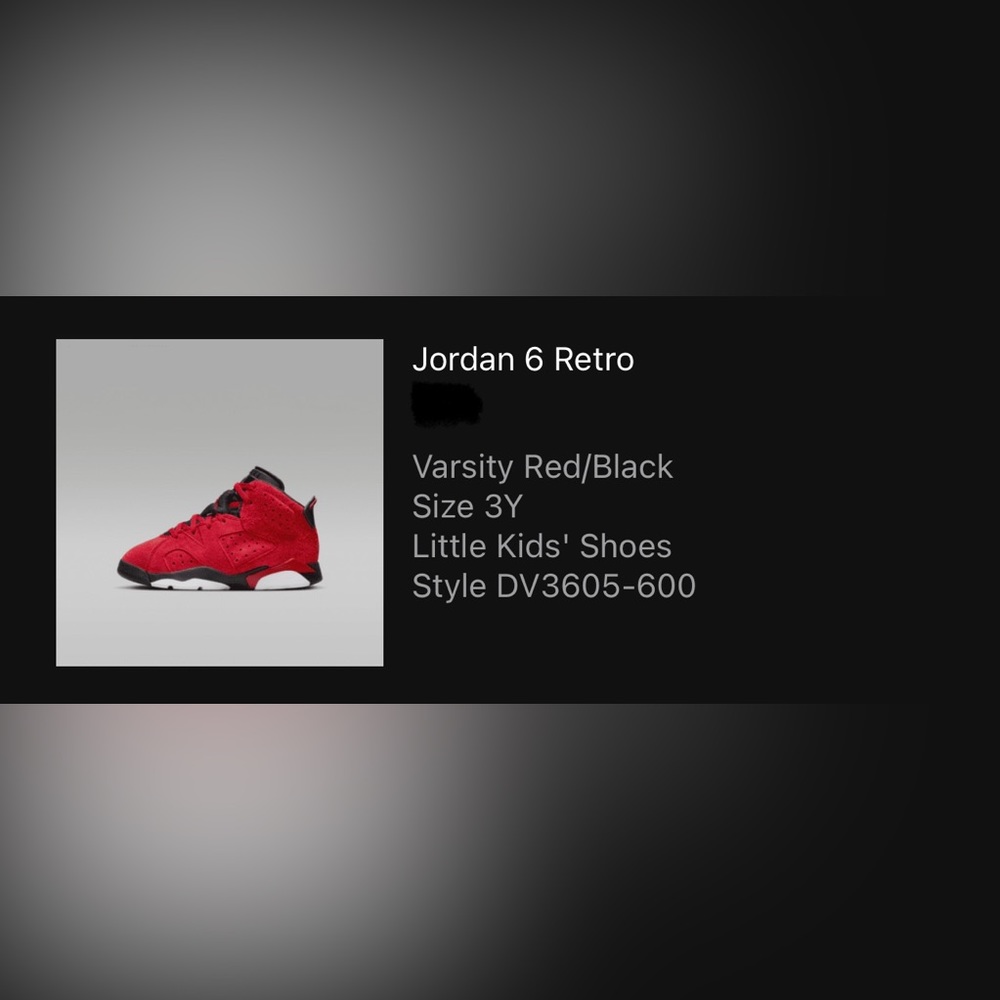 Nike Jordan 6 Toro